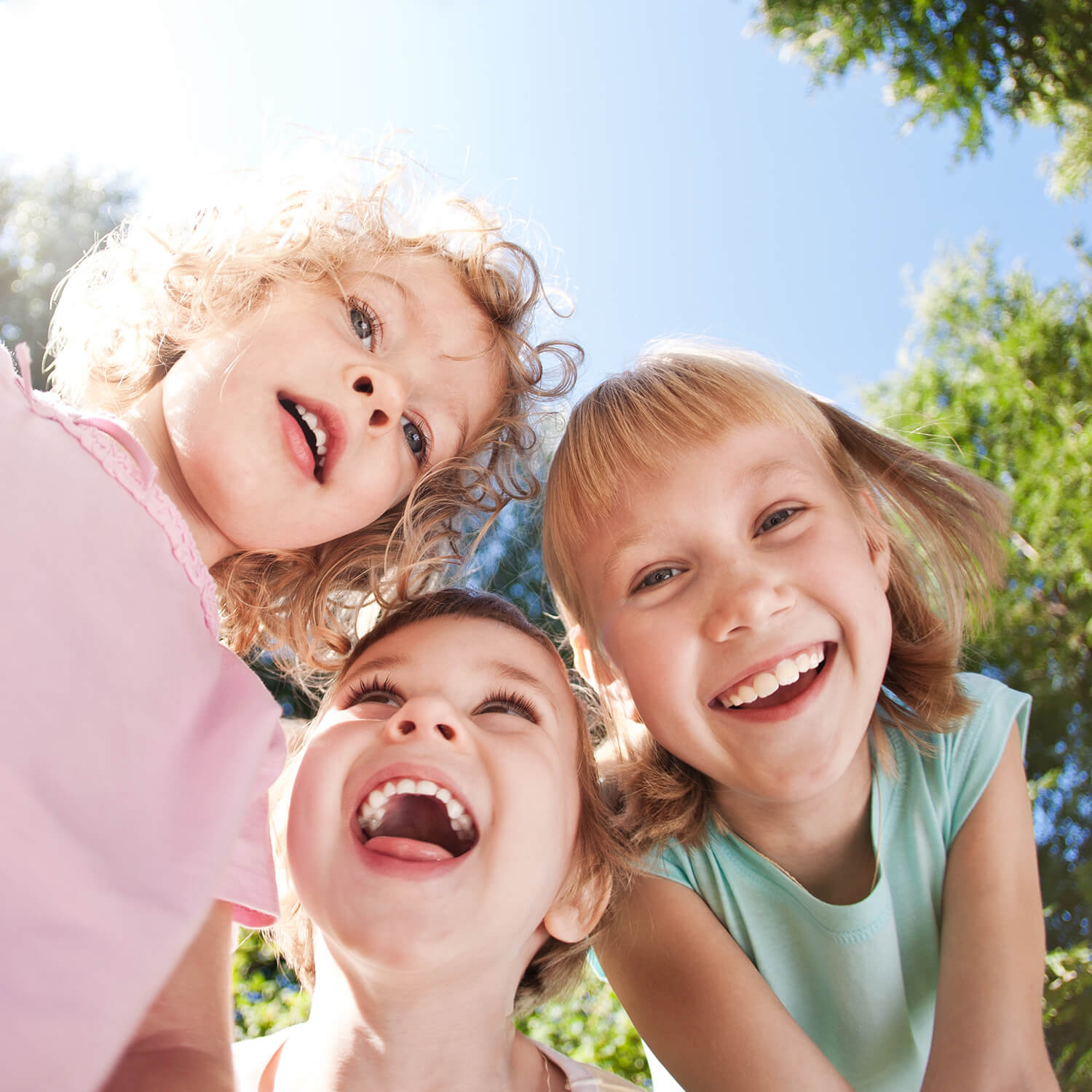 shutterstock_93843559